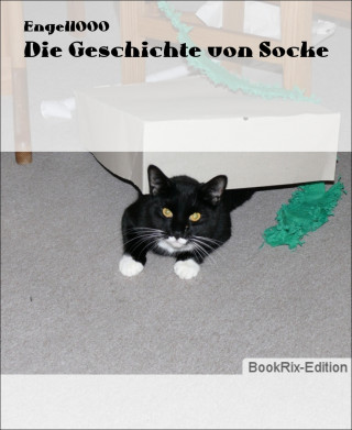Engel1000: Die Geschichte von Socke