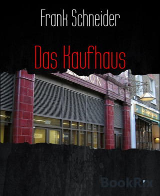 Frank Schneider: Das Kaufhaus