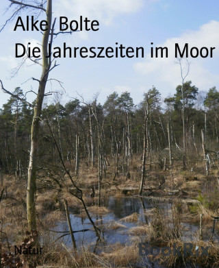 Alke Bolte: Die Jahreszeiten im Moor