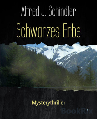Alfred J. Schindler: Schwarzes Erbe