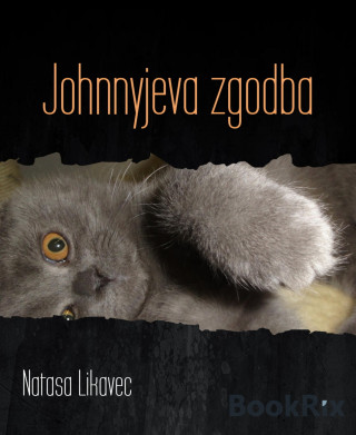 Natasa Likavec: Johnnyjeva zgodba