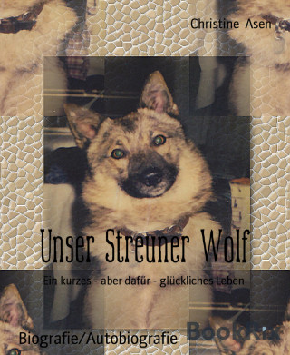 Christine Asen: Unser Streuner Wolf