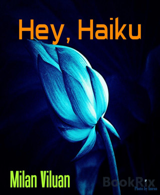 Milan Viluan: Hey, Haiku