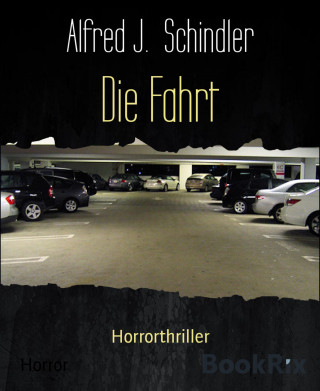 Alfred J. Schindler: Die Fahrt