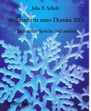 Julia B. Schulz: Weihnachten anno Domini 2014