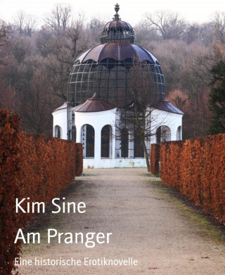 Kim Sine: Am Pranger