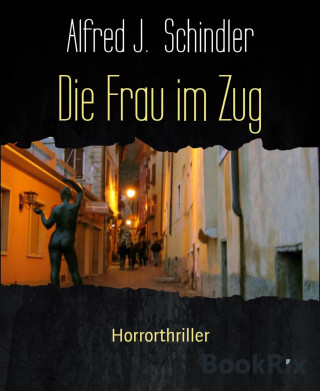 Alfred J. Schindler: Die Frau im Zug