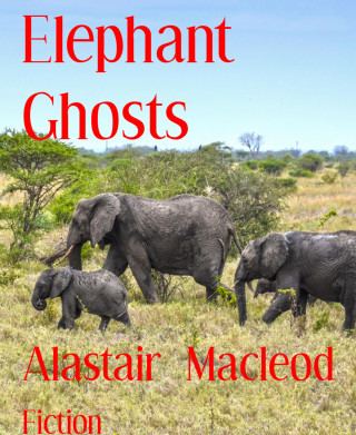 Alastair Macleod: Elephant Ghosts
