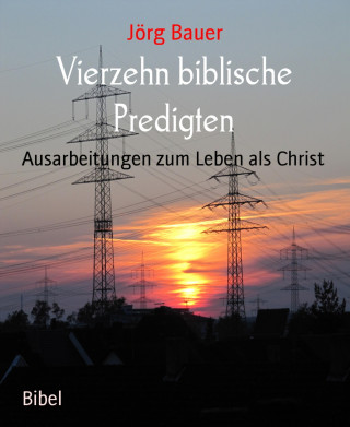 Jörg Bauer: Vierzehn biblische Predigten