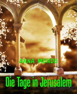 Anna Mende: Die Tage in Jerusalem