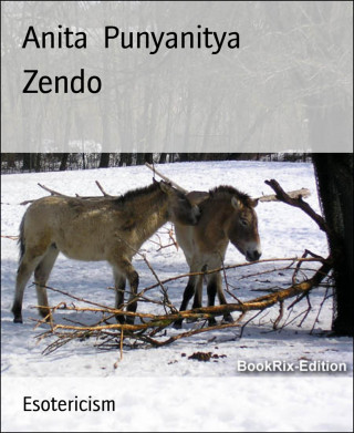 Anita Punyanitya: Zendo