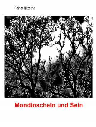 Rainar Nitzsche: Mondinschein und Sein