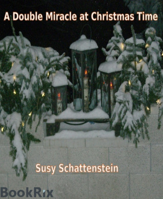 Susy Schattenstein: A Double Miracle at Christmas Time