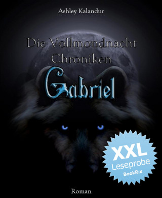 Ashley Kalandur: Die Vollmondnacht Chroniken - Gabriel XXL - Leseprobe