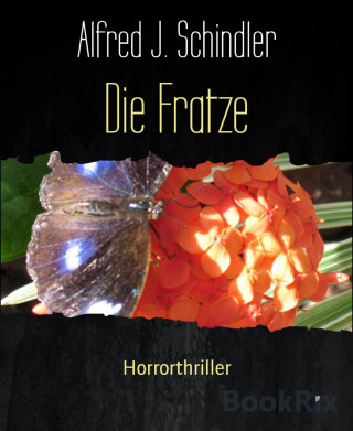 Alfred J. Schindler: Die Fratze