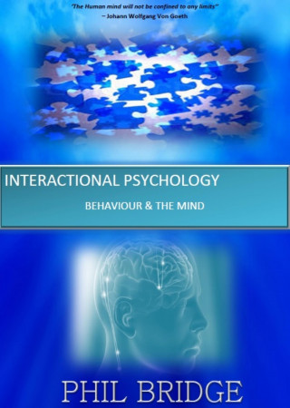 Phil Bridge: Interactional Psychology