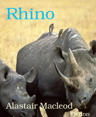 Alastair Macleod: Rhino