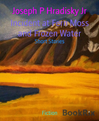 Joseph P Hradisky Jr: Incident at Fern Moss and Frozen Water