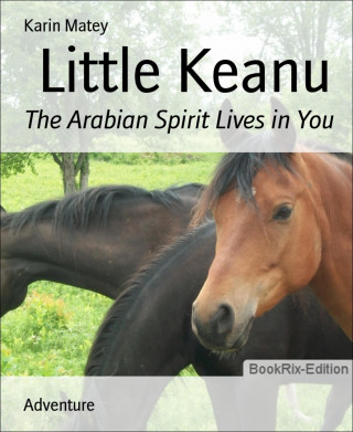 Karin Matey: Little Keanu