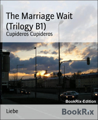 Cupideros Cupideros: The Marriage Wait (Trilogy B1)