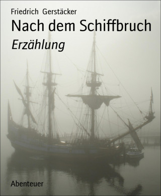 Friedrich Gerstäcker: Nach dem Schiffbruch