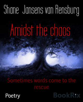 Shane Jansens van Rensburg: Amidst the chaos
