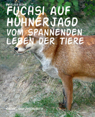 Marlies Kühr: Fuchsi auf Hühnerjagd