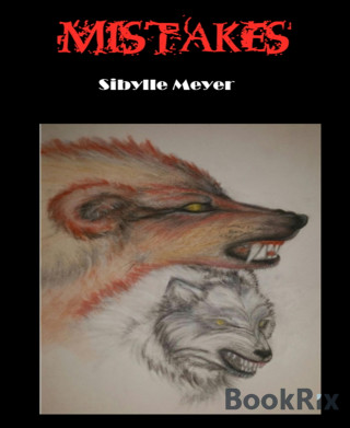 Sibylle Meyer: Mistakes