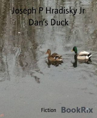 Joseph P Hradisky Jr: Dan's Duck