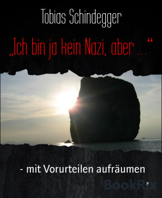 Tobias Schindegger: "Ich bin ja kein Nazi, aber …"
