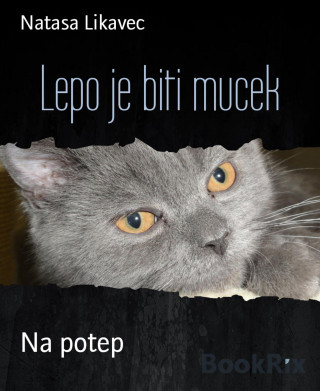 Natasa Likavec: Lepo je biti mucek