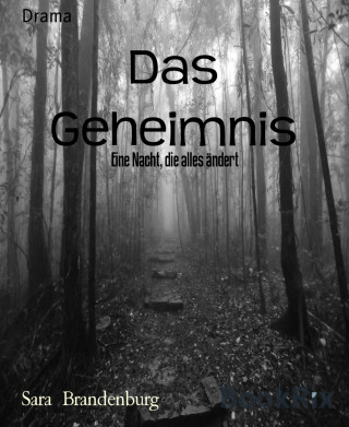 Sara Brandenburg: Das Geheimnis