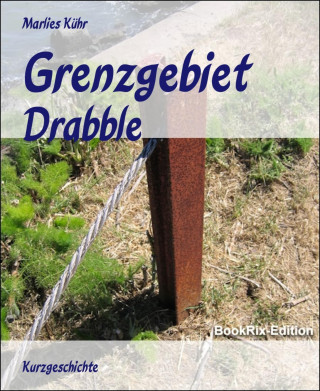 Marlies Kühr: Grenzgebiet