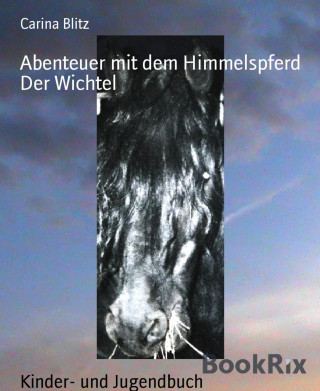 Carina Blitz: Abenteuer mit dem Himmelspferd