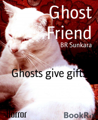 BR Sunkara: Ghost Friend