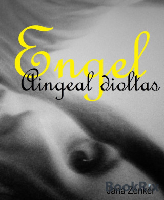 Jana Zenker: Engel. Die Rache ist mein