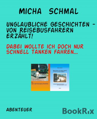 Micha Schmal: Unglaubliche Geschichten - von Reisebusfahrern erzählt!