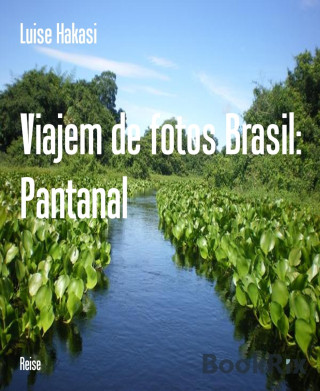 Luise Hakasi: Viajem de fotos Brasil: Pantanal