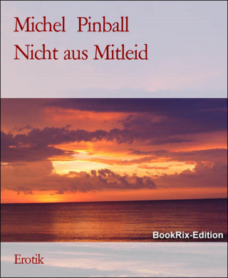 Michel Pinball: Nicht aus Mitleid