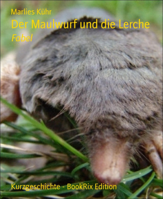 Marlies Kühr: Der Maulwurf und die Lerche