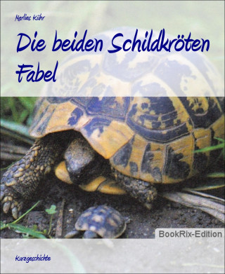 Marlies Kühr: Die beiden Schildkröten
