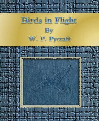 W. P. Pycraft: Birds in Flight