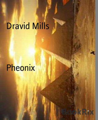 Dravid Mills: Pheonix