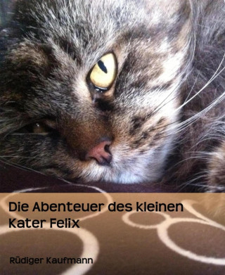 Rüdiger Kaufmann: Die Abenteuer des kleinen Kater Felix