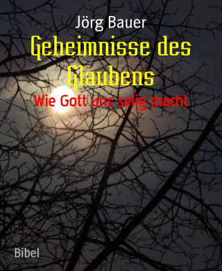 Jörg Bauer: Geheimnisse des Glaubens