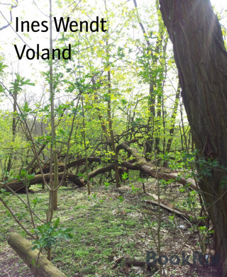 Ines Wendt: Voland