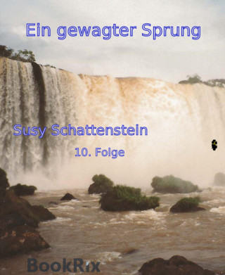 Susy Schattenstein: Ein gewagter Sprung