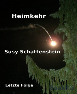 Susy Schattenstein: Heimkehr
