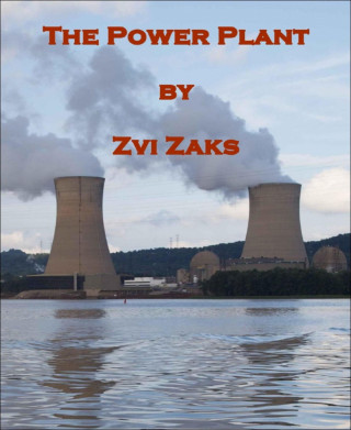 Zvi Zaks: The Power Plant