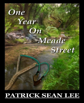 Patrick Sean Lee: One Year On Meade Street
